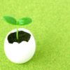 はじめまして！健康のための食事を選ぶブログスタートです